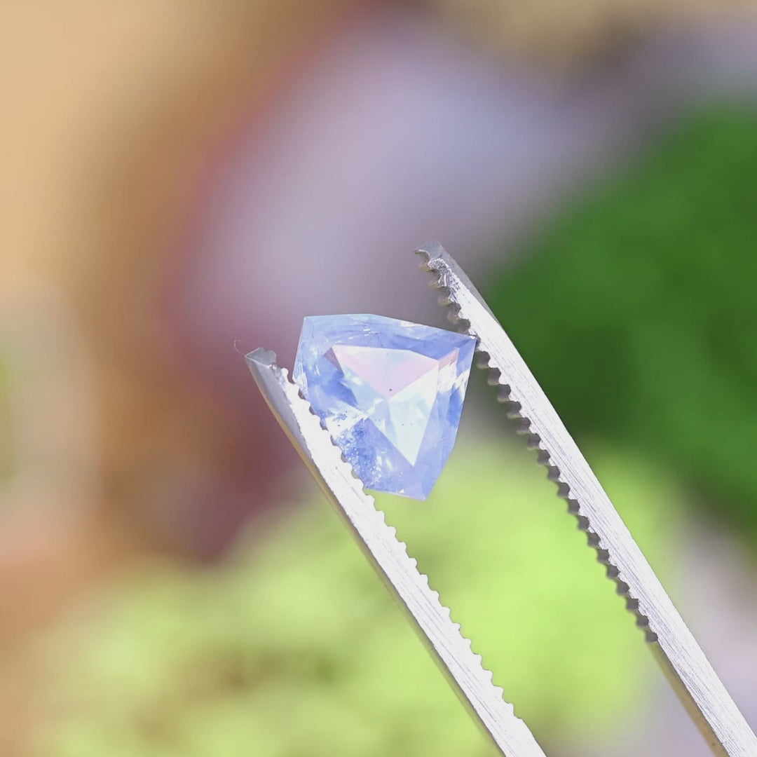 Rotating loose opalescent blue sapphire shield cut from Madagascar revealing milky blue tones and reflective facets under movement.