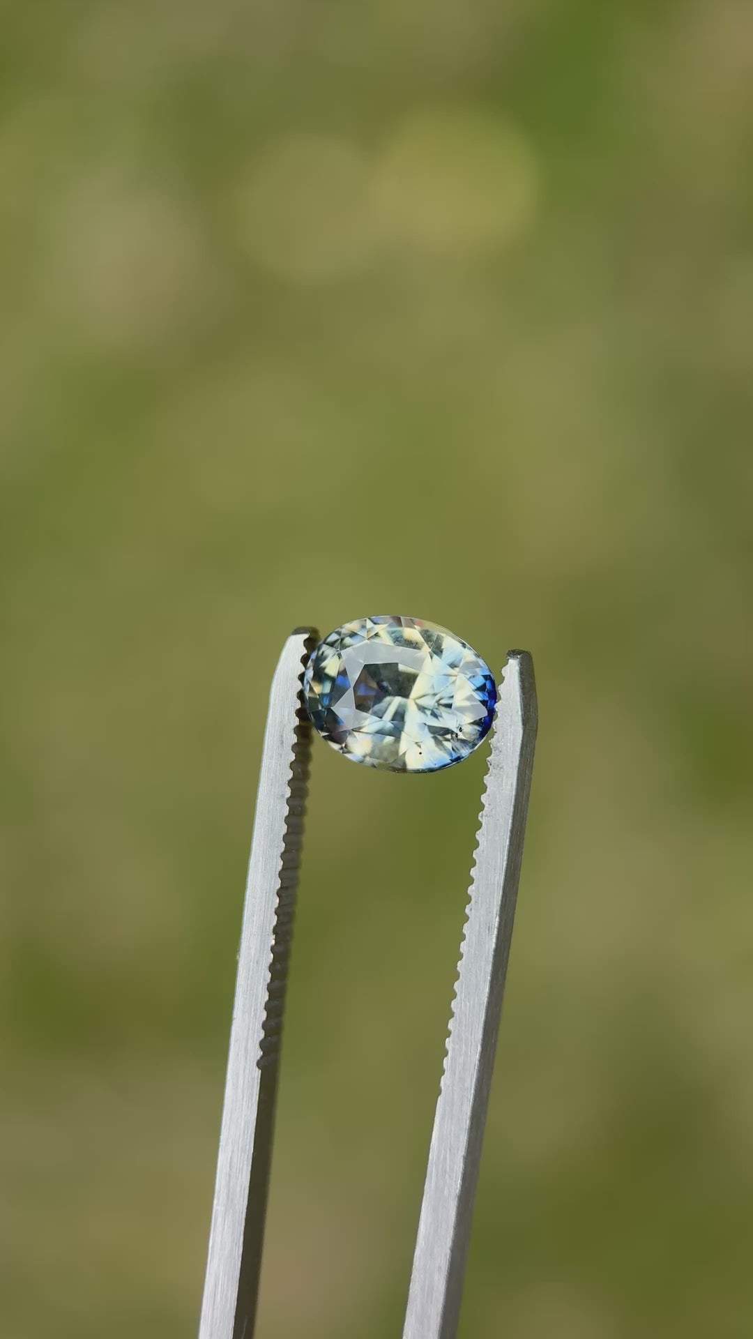 3.57CT Sapphire: Yellow Blue Parti Precision Oval Mix