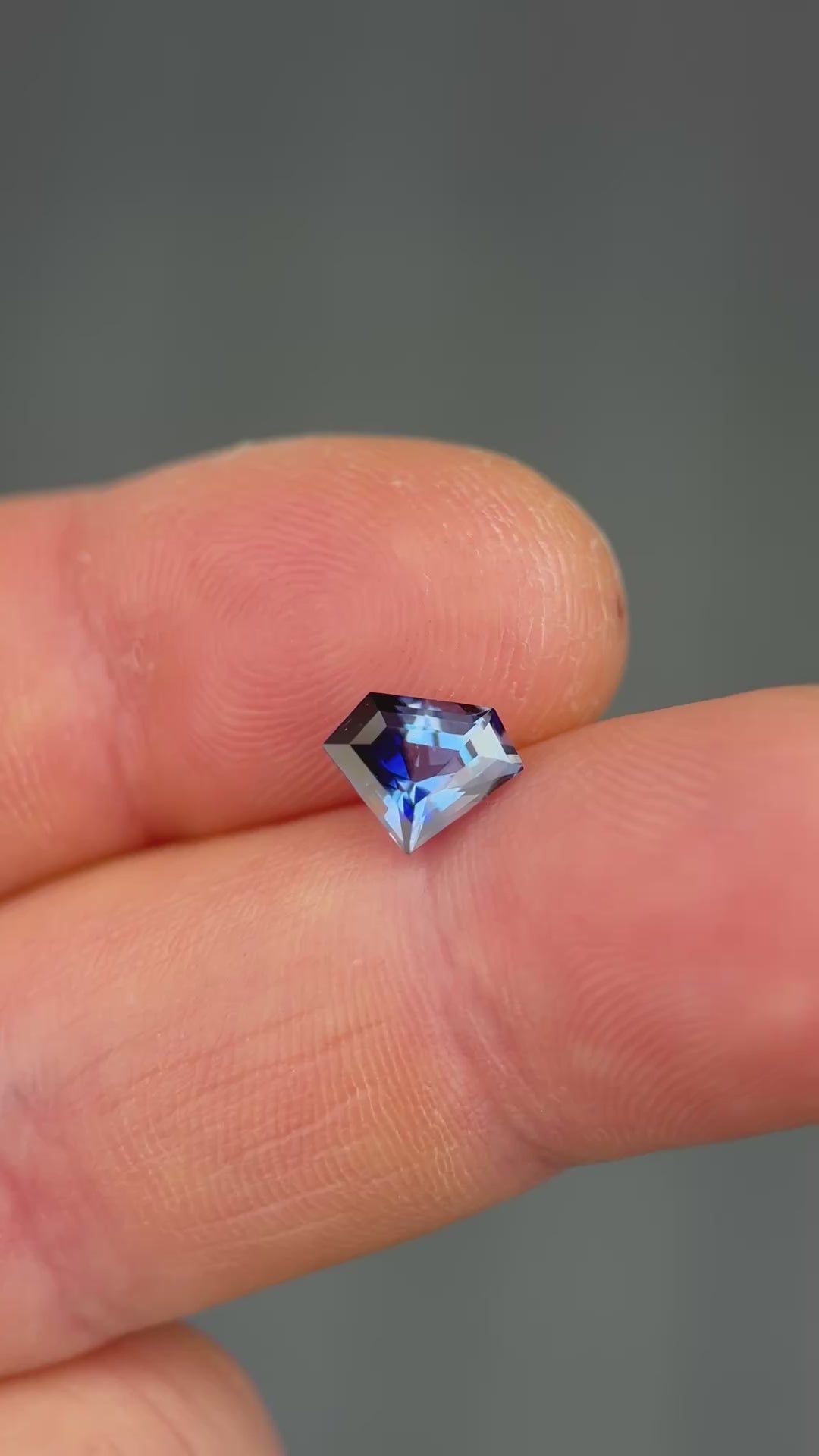 1.60CT Sapphire: Inky Royal Blue-Blue Colorless Parti Shield Step Cut