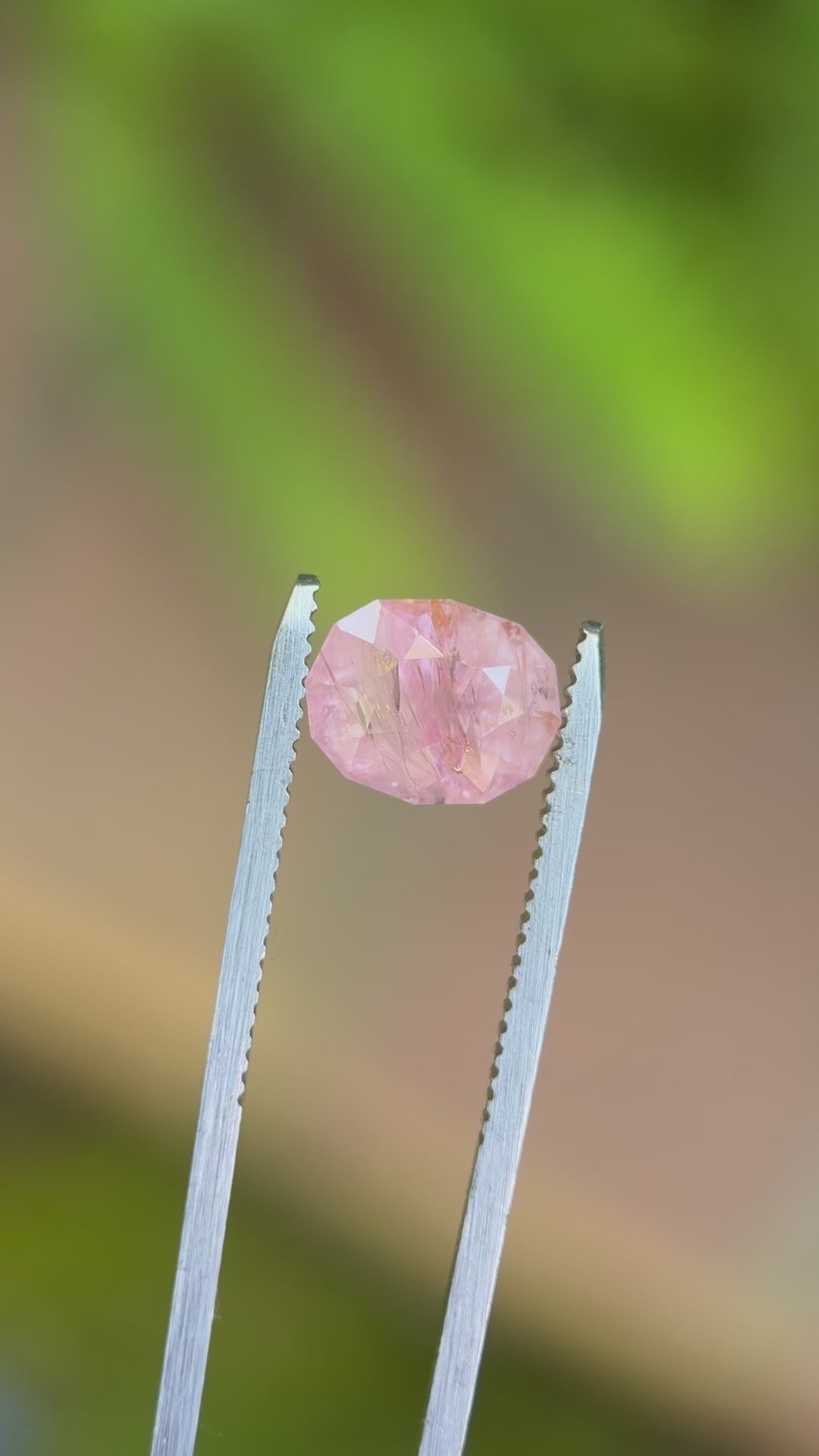 Natural geo oval cut bubblegum pink sapphire rotating under natural lighting held in gem tweezers