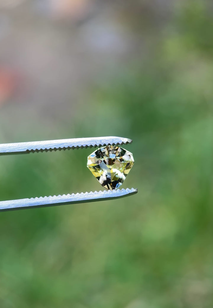 Tanzanite gemstone in tweezers under natural light – 2.87ct untreated shield cut showing multicolor brilliance