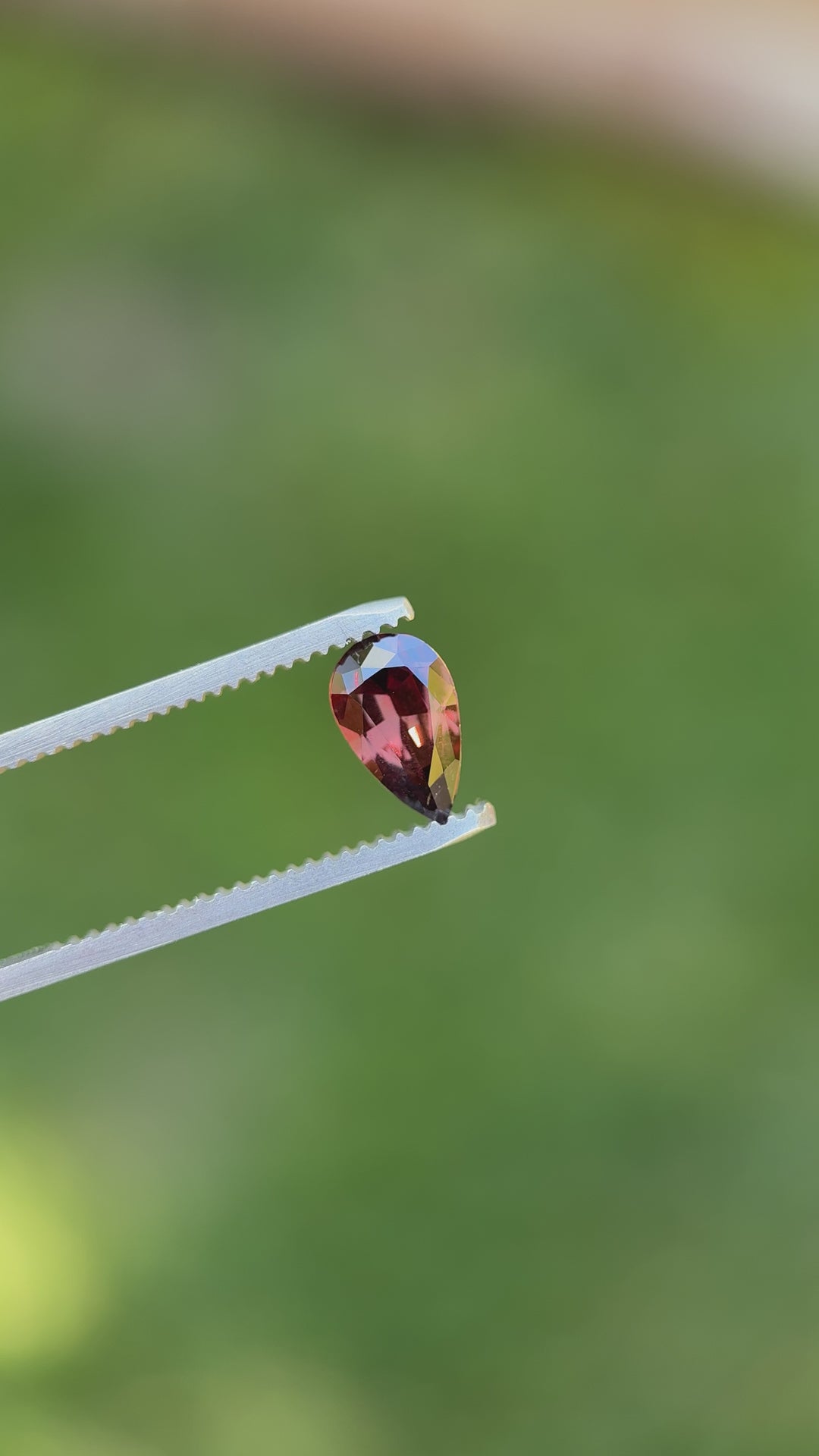 1.39 carat unheated sapphire with vivid red and purple color play, showcased in tweezers in outdoor setting