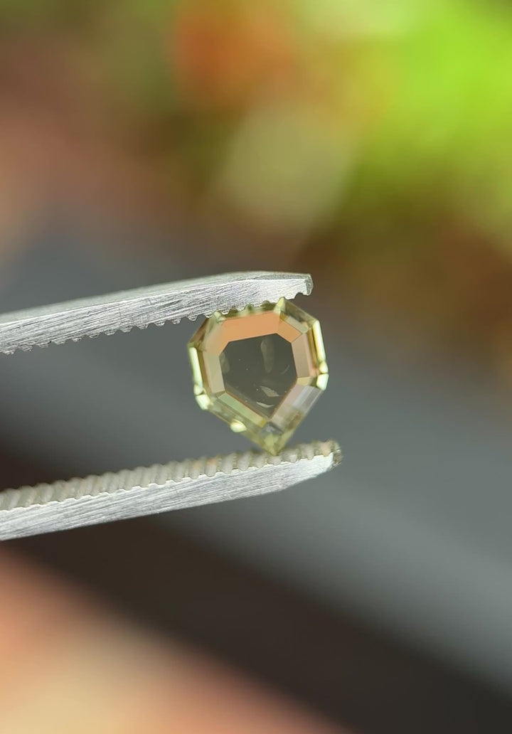 1.55CT Sapphire: Yellowish Green Shield Portrait Cut