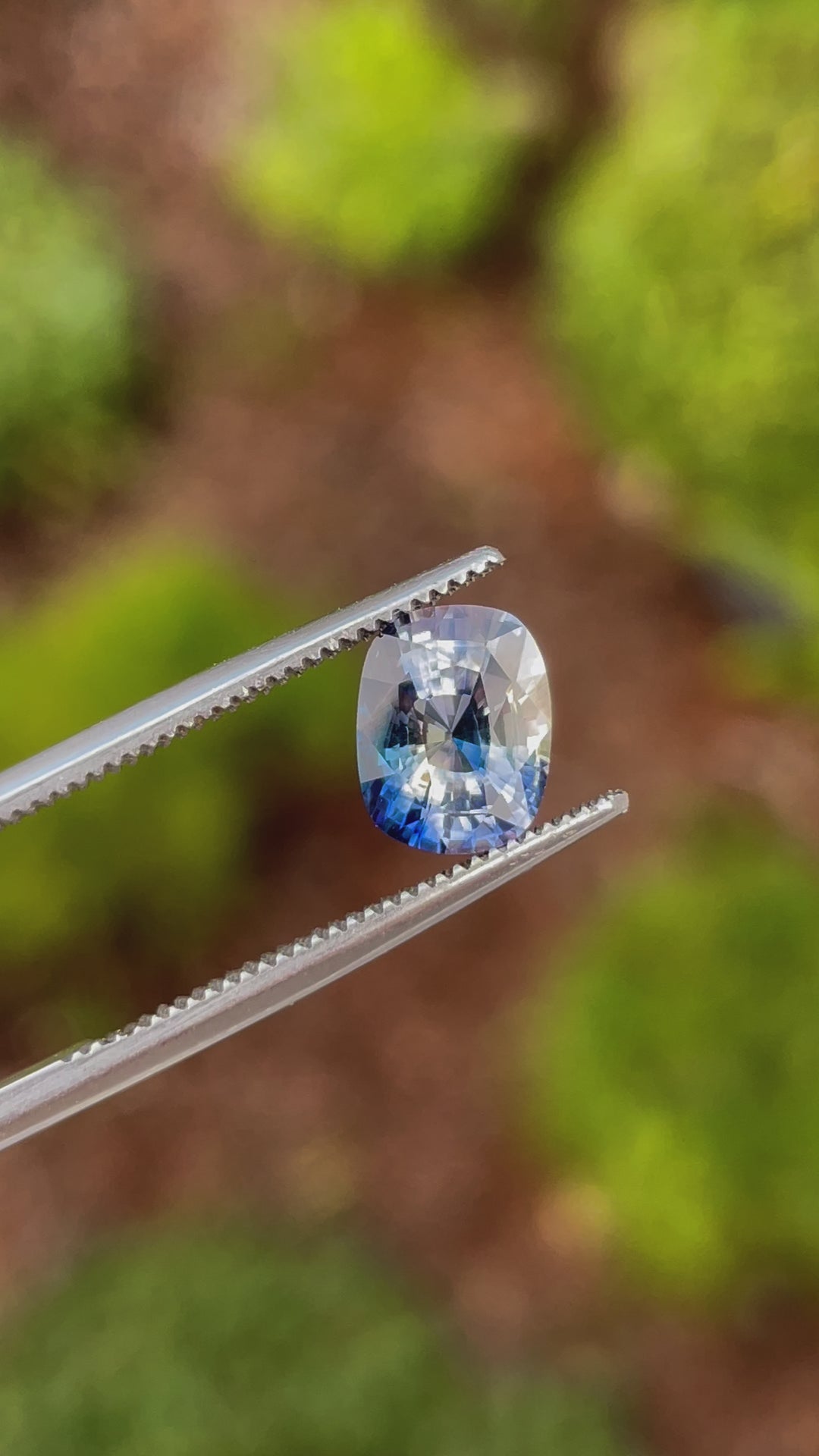 A mesmerizing video of a cushion-cut bi-color sapphire. Displays lavender and blue tones under various lighting. Weight: 2.28 carats, heated and sourced from Sri Lanka.